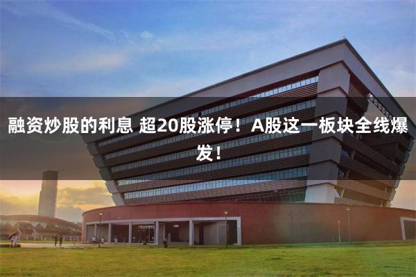 融资炒股的利息 超20股涨停！A股这一板块全线爆发！