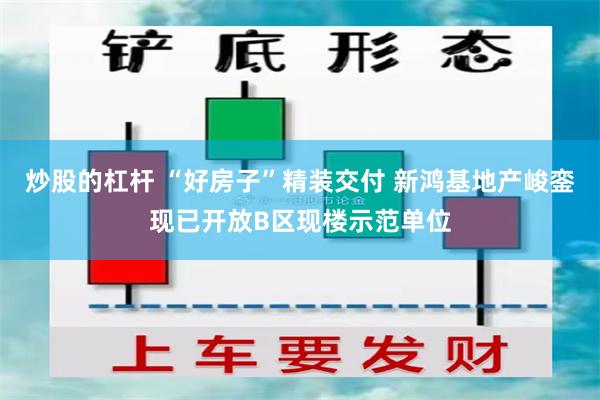 炒股的杠杆 “好房子”精装交付 新鸿基地产峻銮现已开放B区现楼示范单位