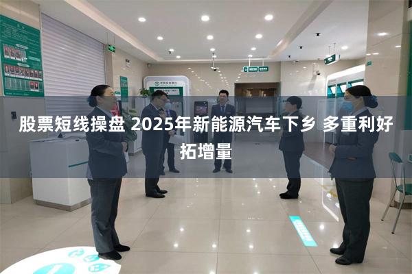 股票短线操盘 2025年新能源汽车下乡 多重利好拓增量