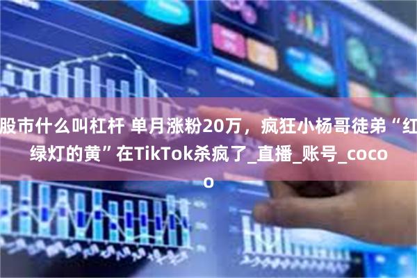 股市什么叫杠杆 单月涨粉20万，疯狂小杨哥徒弟“红绿灯的黄”在TikTok杀疯了_直播_账号_coco