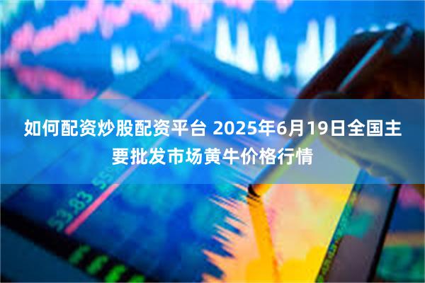 如何配资炒股配资平台 2025年6月19日全国主要批发市场黄牛价格行情