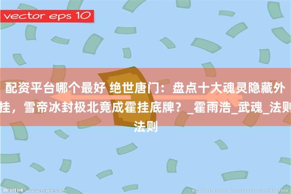 配资平台哪个最好 绝世唐门：盘点十大魂灵隐藏外挂，雪帝冰封极北竟成霍挂底牌？_霍雨浩_武魂_法则