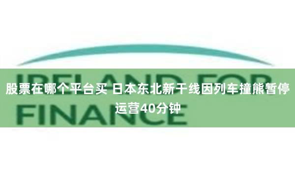 股票在哪个平台买 日本东北新干线因列车撞熊暂停运营40分钟