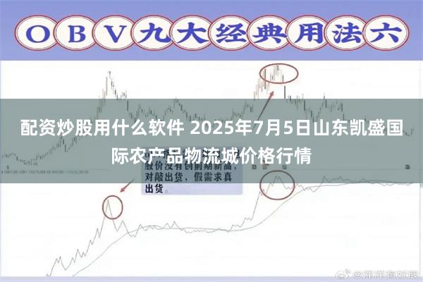 配资炒股用什么软件 2025年7月5日山东凯盛国际农产品物流城价格行情