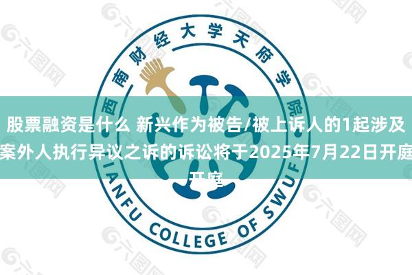 股票融资是什么 新兴作为被告/被上诉人的1起涉及案外人执行异议之诉的诉讼将于2025年7月22日开庭