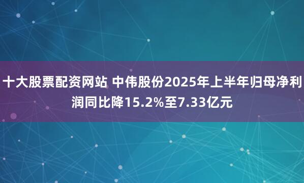十大股票配资网站 中伟股份2025年上半年归母净利润同比降15.2%至7.33亿元