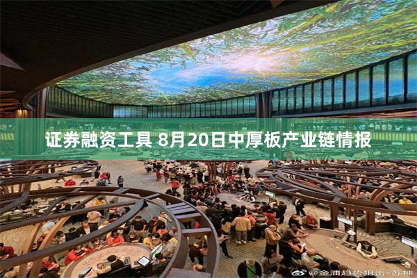 证券融资工具 8月20日中厚板产业链情报